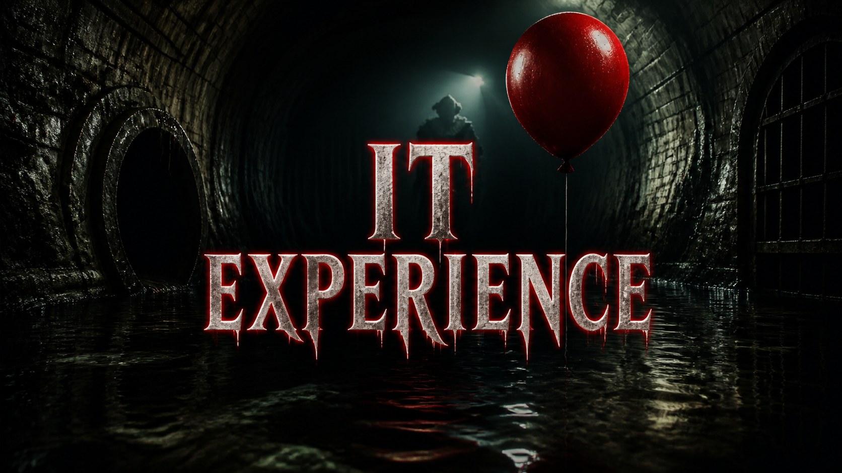 IT Experience